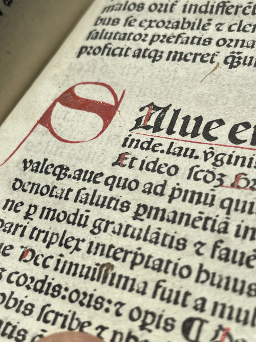 Aufnahme einer Seite der Aalster Inkunabel gedruckt von Dirk Martens 1487