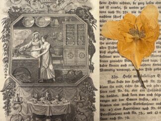 <b>Scheibler, Sophie Wilhelmine.</b><br />Allgemeines deutsches Kochbuch für bürgerliche Haushaltungen oder gründliche Anweisung wie man ohne Vorkenntnisse alle Arten Speisen und Backwerk auf die wohlfeilste und schmackhafteste Art zubereiten kann. Ein unentbehrliches Handbuch für angehende Hausmütter, Haushälterinnen und Köchinnen.