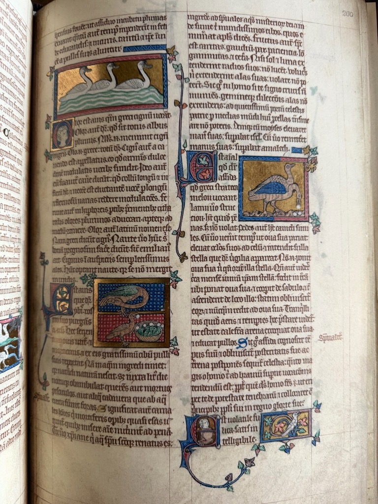 <p class="headtitle">PETERBOROUGH BESTIARIUM FAKSIMILE</p><b></b><br />Das Bestiarium aus Peterborough / The Peterborough Bestiary. The Parker Library, College of Corpus Christi and the Blessed Virgin Mary, Ms. 53 (fols. 189R-210V). – Bild 2