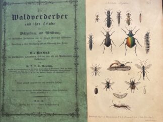 <b>Ratzeburg, Julius Theodor Christian.</b><br />Die Waldverderber und ihre Feinde oder Beschreibung und Abbildung der schädlichsten Forstinsecten und der übrigen schädlichen Waldthiere ; nebst Anweisung zu ihrer Vertilgung und zur Schonung ihrer Feinde ; ein Handbuch für Forstmänner, Oeconomen, Gärtner und alle mit Waldbäumen Beschäftigte / von J. T. C. Ratzeburg.