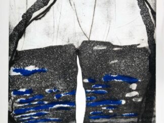 <b>Schumacher, Emil.</b><br />Emil Schumacher. Ein Buch mit sieben Siegeln.