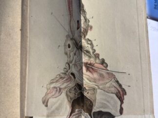 <b>Howship, John.</b><br />Practische Bemerkungen über die Krankheiten der Harnwerkzeuge vorzüglich über die der Blase, Vorsteheherdrüse und Harnröhre.