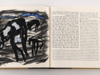 <b>Schumacher, Emil.</b><br />Genesis. Das 1. Buch des Pentateuch. Von der Schöpfung der Welt bis zum Turm von Babel.  Text auf Hebräisch und Deutsch.