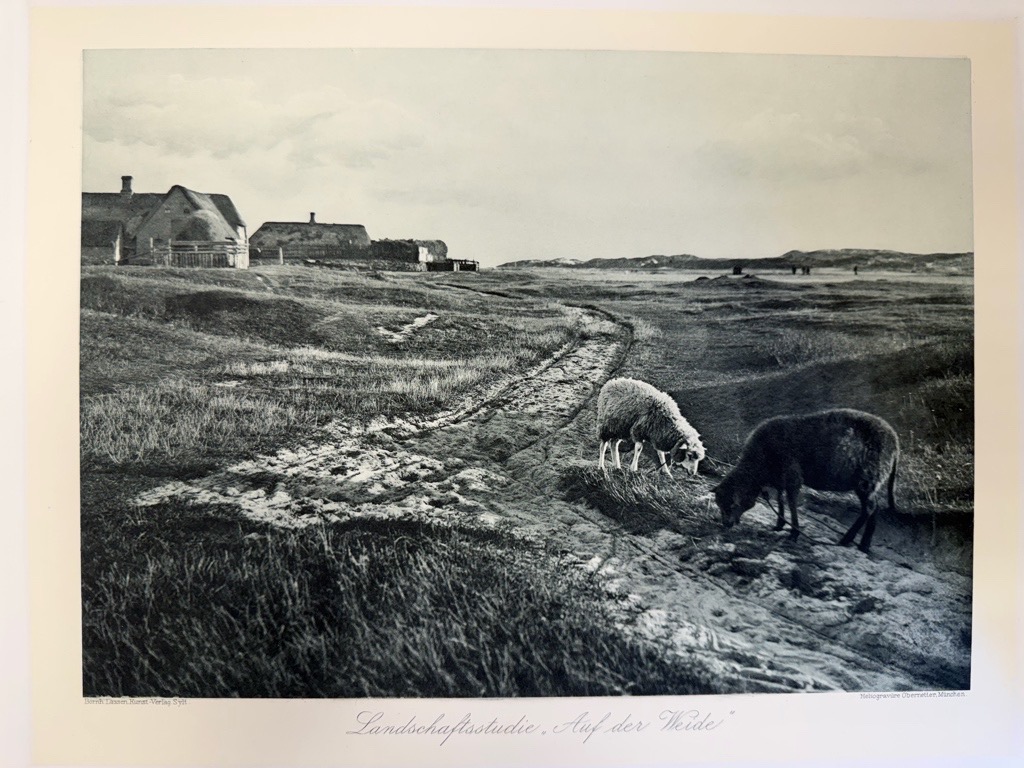 <p class="headtitle">Frühe Sylt Photographie um 1900</p><b>Lassen, Bernhard und P.E. Nickelsen.</b><br />Erinnerungen an Westerland, Sylt. – Bild 4