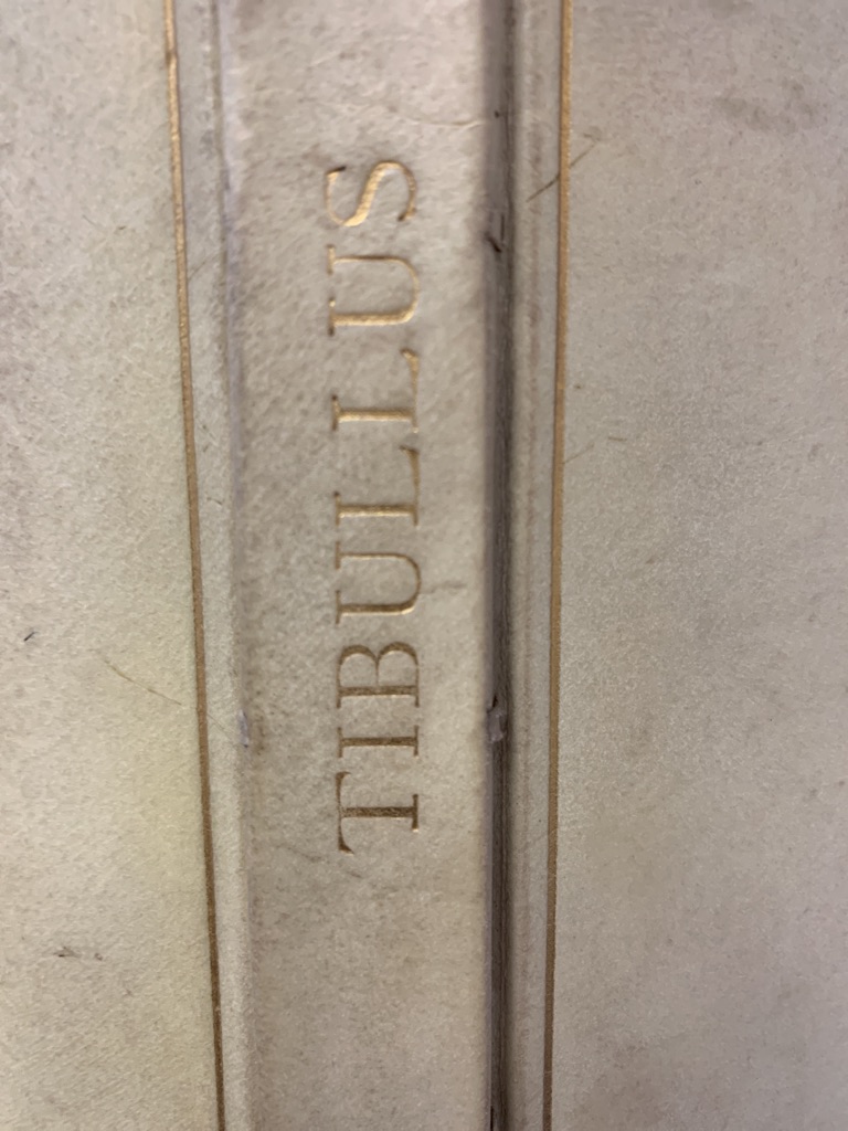 <b>Tibullus (Tibull), Albius.</b><br />Tibullus. ELEGIEN. Deutsch von Paul Lewinsohn. – Bild 2