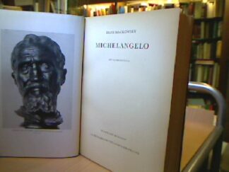 <p class="headtitle">Michelangelo</p><b>Mackowsky, Hans.</b><br />Micheangelo